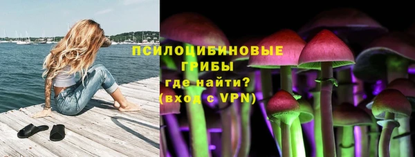 круглые Иннополис
