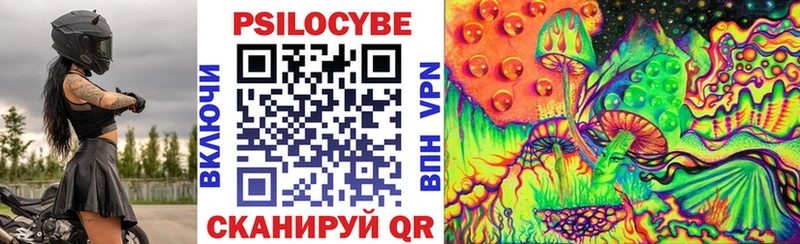 Псилоцибиновые грибы Psilocybe  Каменск-Уральский 